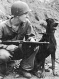 Doberman Andy at Bougainville during WWII