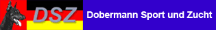 Dobermann Sport und Zucht