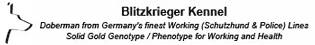Blitzkrieger Kennel - Doberman from Germany's finest Working (Schutzhund & Police) Lines