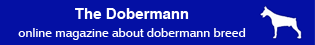 The Dobermann - online magazine about dobermann breed